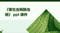 《寄生虫病肠虫病》课件