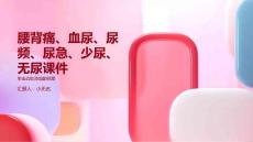腰背痛血尿尿频尿急少尿无尿课件
