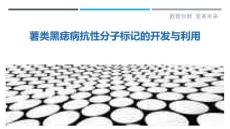 薯类黑痣病抗性分子标记的开发与利用