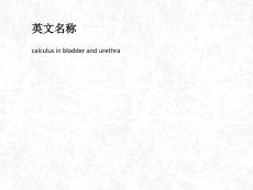 膀胱与尿道结石ppt课件.ppt