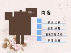附睾炎的护理.ppt