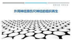 外周神经损伤尺神经的组织再生