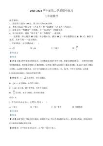 安徽省合肥市庐江县2023-2024学年七年级下学期期中数学试题（解析版）