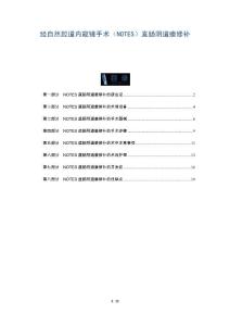 经自然腔道内窥镜手术（NOTES）直肠阴道瘘修补