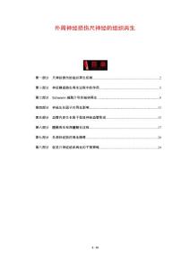 外周神经损伤尺神经的组织再生
