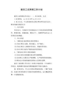 新員工試用期工作計劃