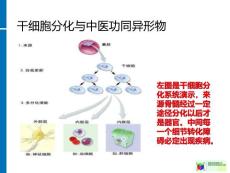 偶尔高烧或低烧与未分化结缔组织病.ppt