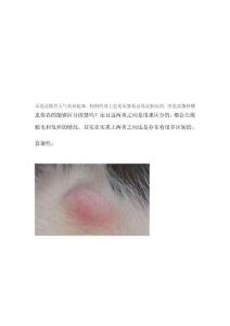 最新狗狗真菌性皮肤病与螨虫性皮肤病的区别