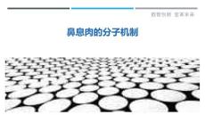 鼻息肉的分子机制