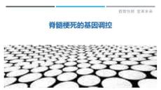 脊髓梗死的基因调控