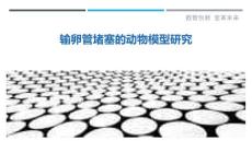 输卵管堵塞的动物模型研究