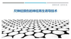 尺神经损伤的神经再生诱导技术