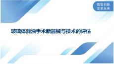 玻璃体混浊手术新器械与技术的评估
