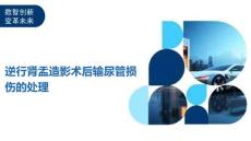 逆行肾盂造影术后输尿管损伤的处理