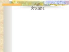 尖锐湿疣课件