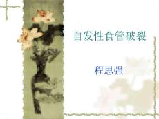 自发性食管破裂课件