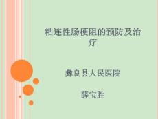 粘连性肠梗阻治疗薛宝胜课件