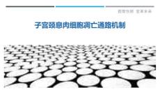 子宫颈息肉细胞凋亡通路机制