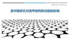 鼻中隔穿孔对鼻甲结构和功能的影响