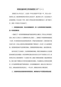 企業(yè)財(cái)務(wù)個(gè)人年終工作總結(jié)-財(cái)務(wù)總監(jiān)年終工作總結(jié)