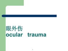 眼外伤副本