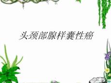 头颈部腺样囊性癌PPT课件