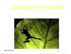 肠道缺血性疾病的CT诊断