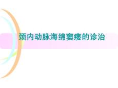 颈内动脉海绵窦瘘的诊治课件