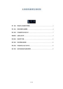 太田痣的病理生理机制