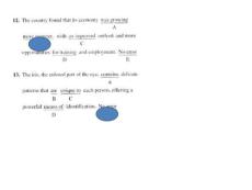 SAT語法易錯題測驗PPT（真題）