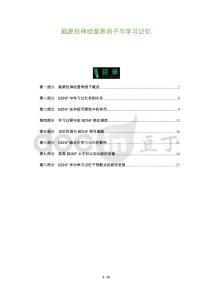 脑源性神经营养因子与学习记忆