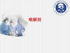 喉解剖喉阻塞