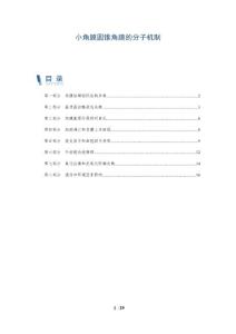 小角膜圆锥角膜的分子机制