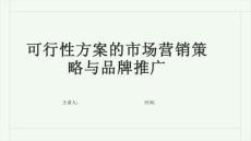 可行性方案的市场营销策略与品牌推广