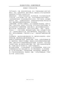 肉鸡越冬 管理防疫两手抓