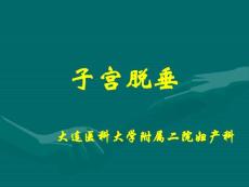 子宫脱垂课件