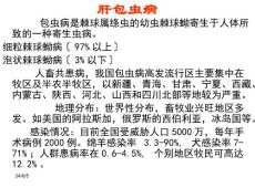 肝包虫病课件.ppt