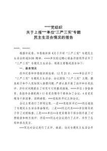 關(guān)于“三嚴(yán)三實(shí)”專題民主生活會(huì)召開情況的報(bào)告.doc