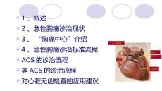 急性胸痛诊治规范胸痛中心建设暨急性胸痛诊治规范.ppt