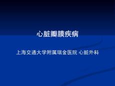 心脏瓣膜疾病