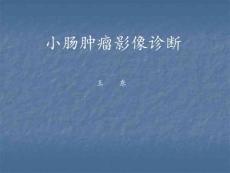 小肠肿瘤影像诊断学 ppt课件