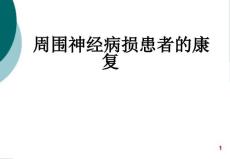 桡神经损伤PPT课件