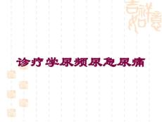 诊疗学尿频尿急尿痛培训课件