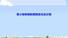肾炎病理新