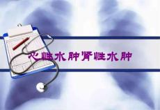 心性水肿肾性水肿培训课件