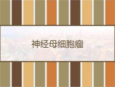 神经母细胞瘤 PPT