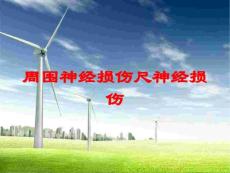 周围神经损伤尺神经损伤培训课件