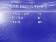 儿茶酚胺及儿茶酚胺代谢产物