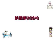 胰腺损伤究极PPT课件.ppt