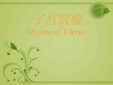 子宫肌瘤病理